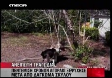 ΣΚΥΛΟΣ ΣΚΟΤΩΣΕ 5χρονο ΑΓΟΡΙ ΣΤΗΝ ΚΥΠΡΟ.