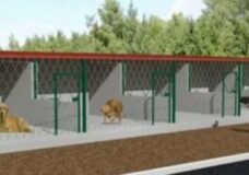 Χρηματοδότηση 390.000€ στο δήμο Πύδνας-Κολινδρού για την κατασκευή καταφυγίου αδέσποτων ζώων.