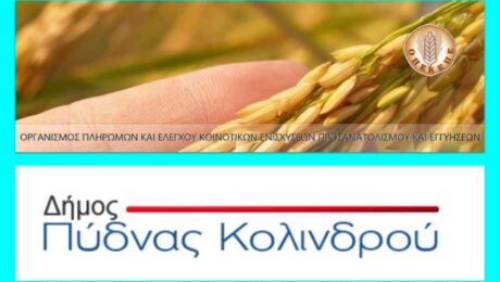Ο.Π.Ε.Κ.Ε.Π.Ε και δήμος Πύδνας-Κολινδρού.