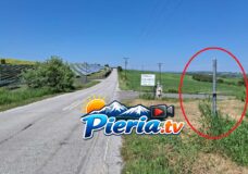 ΕΚΛΕΨΑΝΠΙΝΑΚΙΔΕΣ ΣΗ ΜΑΝΣΗΣ ΣΤΟΝ ΔΡΟΜΟ ΑΛΩΝΙΩΝ-ΠΑΛΙΟΣΤΑΝΗΣ ΠΙΕΡΙΑΣ.