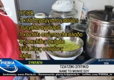 ΤΖΑΤΖΙΚΙ ΣΠΙΤΙΚΟ – ΕΚΤΕΛΕΣΗ ΣΥΝΤΑΓΗΣ.